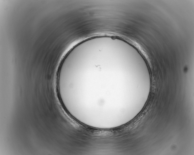 X0000099301187200805020749