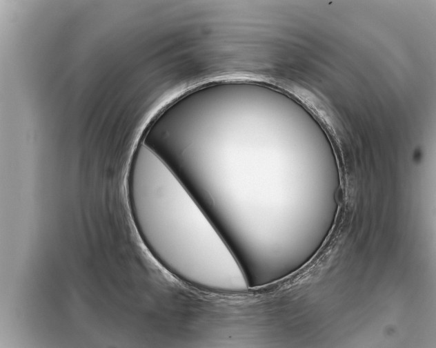 X0000099301189200805020749