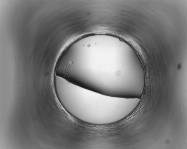 X0000099301191200805020749