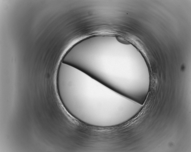 X0000099301195200805020749