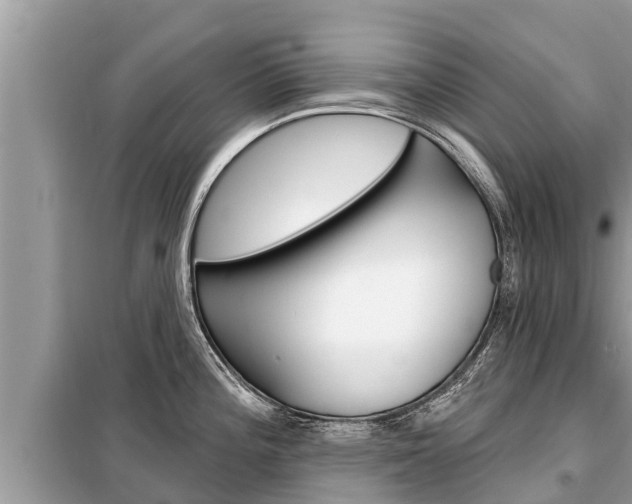 X0000099301196200805020749