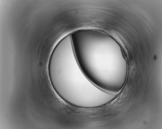X0000099301197200805020749