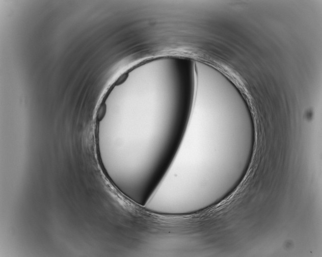 X0000099301200200805020749
