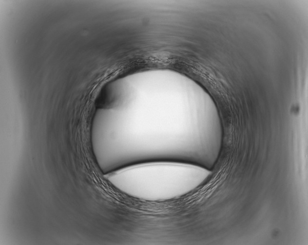 X0000099301201200805020748
