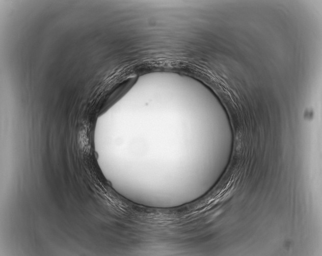 X0000099301202200805020748