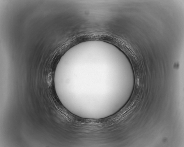 X0000099301204200805020748