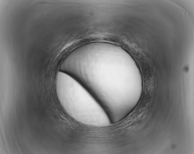 X0000099301206200805020748