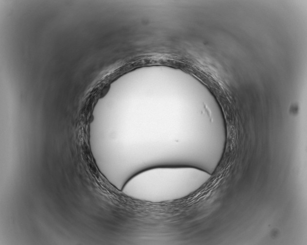 X0000099301207200805020748