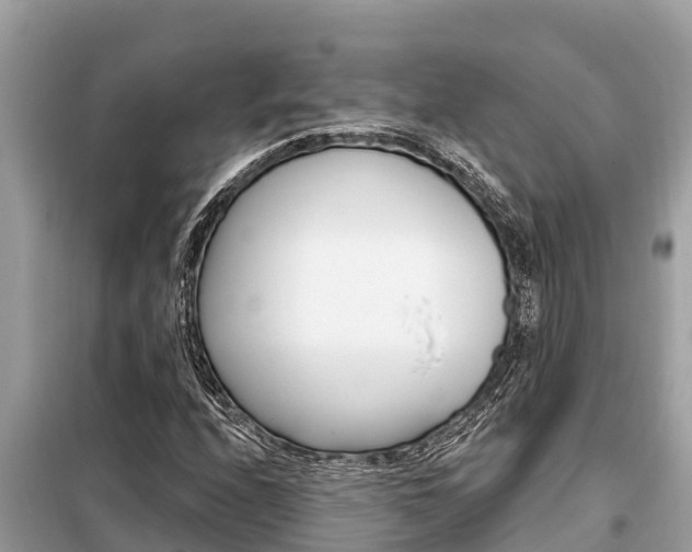 X0000099301208200805020748