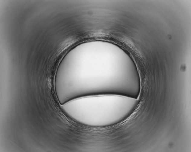 X0000099301209200805020748