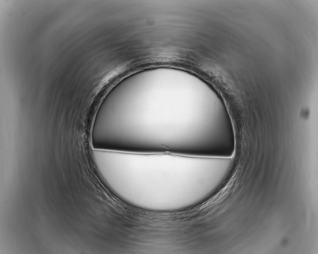 X0000099301210200805020748