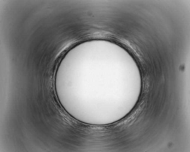 X0000099301211200805020748