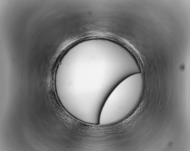 X0000099301215200805020749