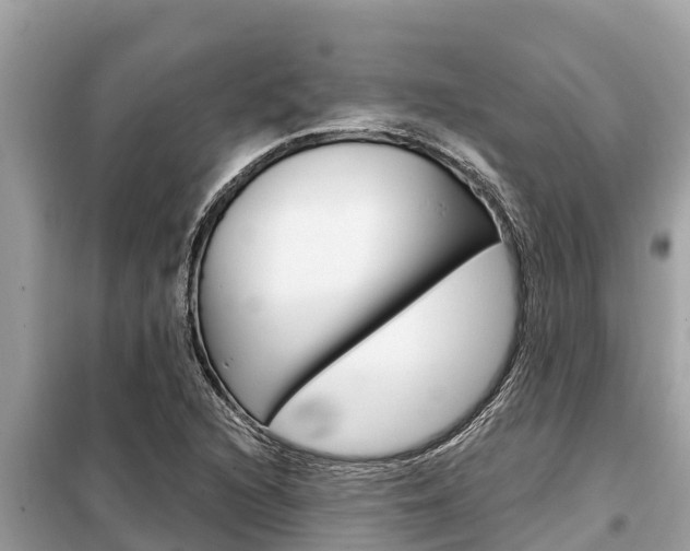 X0000099301216200805020749