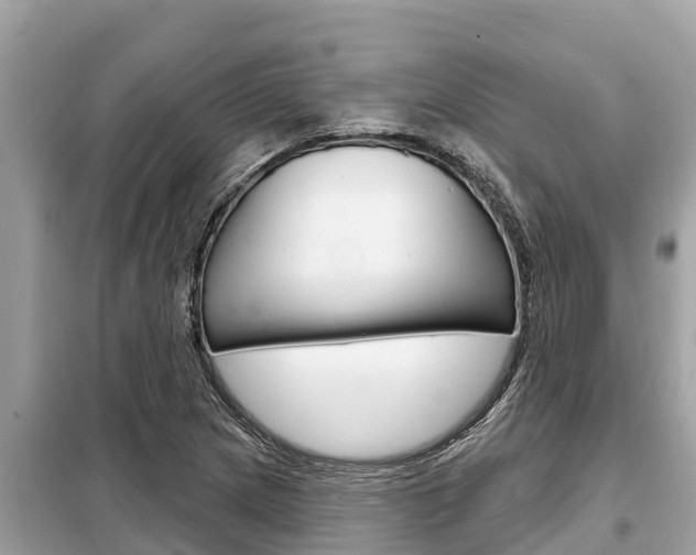 X0000099301217200805020749