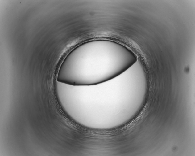 X0000099301218200805020749