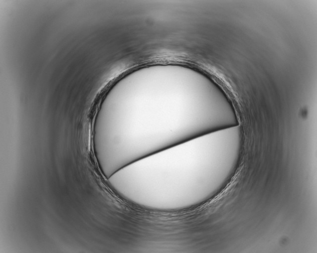 X0000099301219200805020749