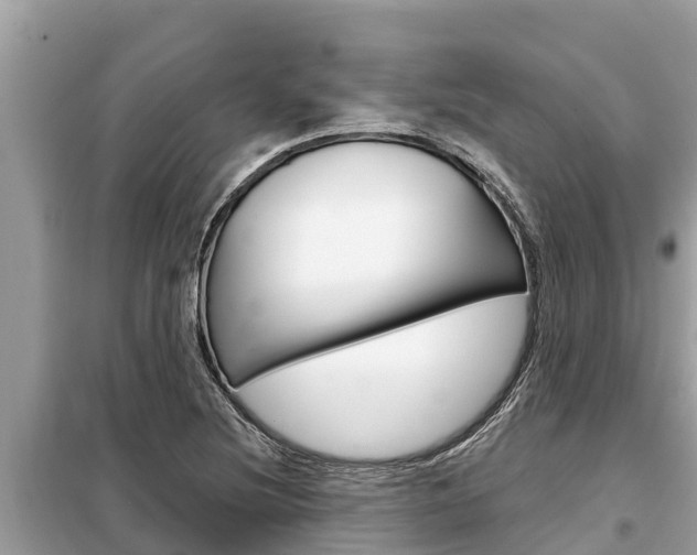 X0000099301220200805020749