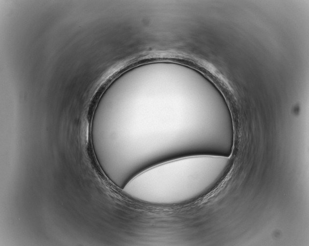 X0000099301221200805020749