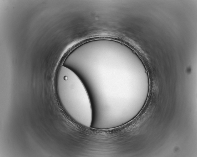 X0000099301222200805020749