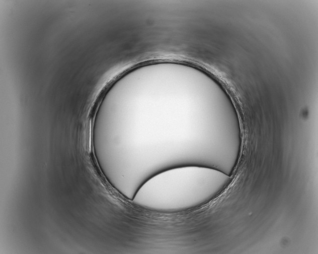X0000099301223200805020749