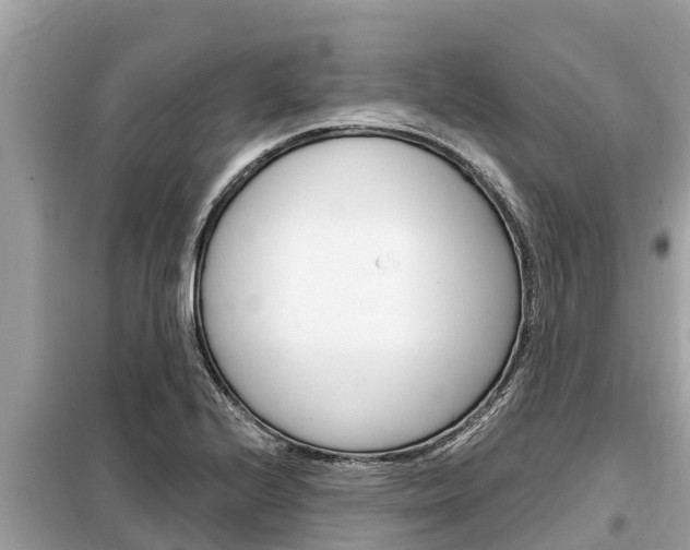 X0000099301224200805020749