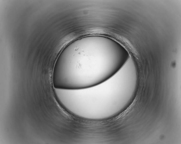 X0000099301225200805020749