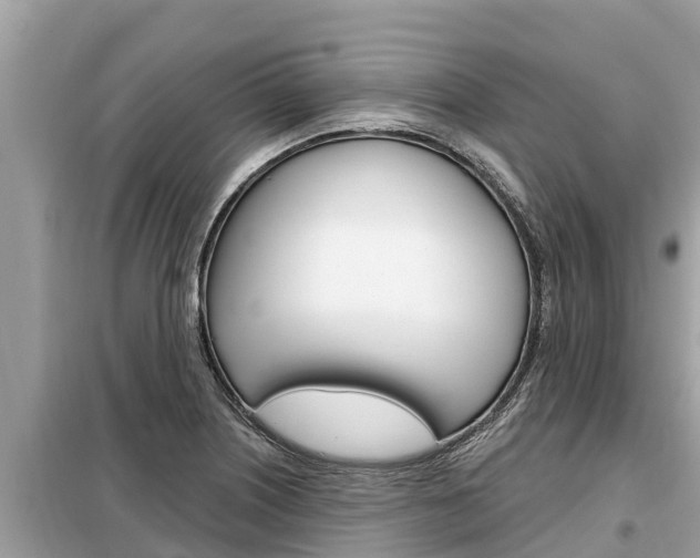 X0000099301226200805020749
