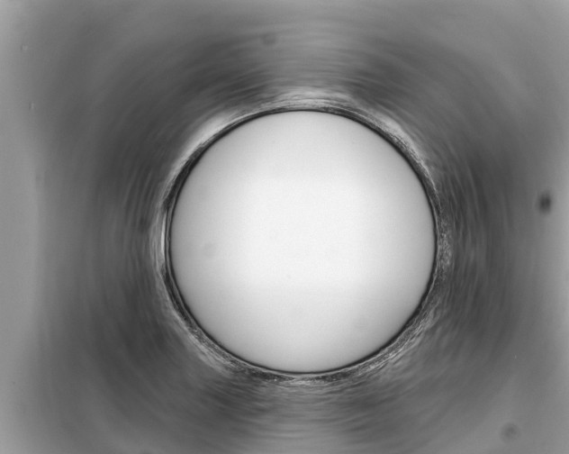 X0000099301227200805020749
