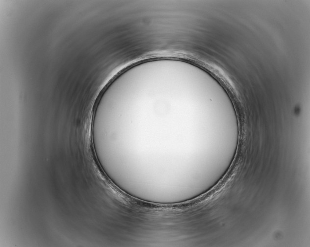 X0000099301228200805020749