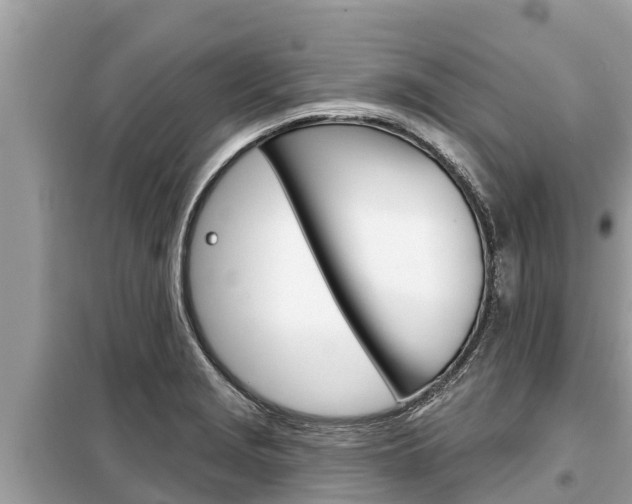 X0000099301229200805020749