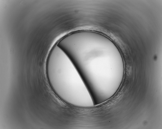 X0000099301230200805020749