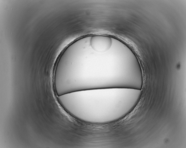 X0000099301231200805020749