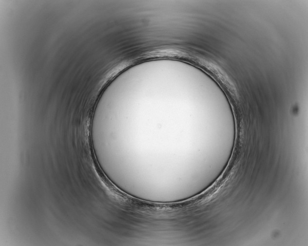 X0000099301233200805020749
