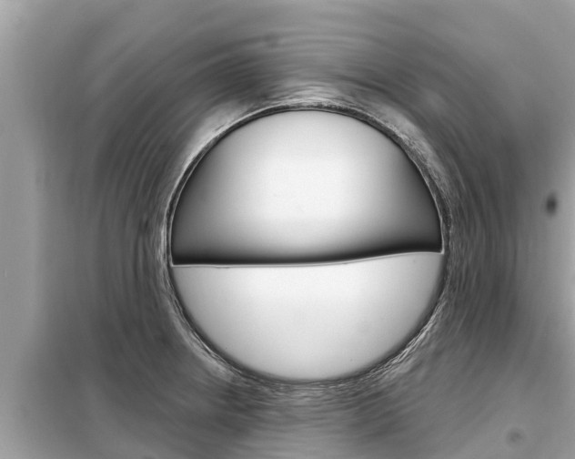 X0000099301234200805020749