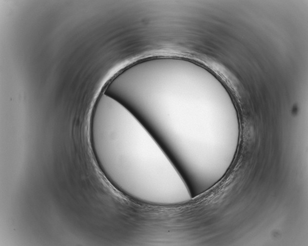 X0000099301238200805020749