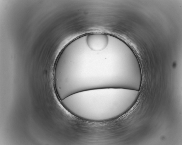 X0000099301239200805020749