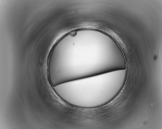 X0000099301240200805020749