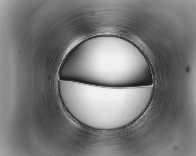 X0000099301242200805020749
