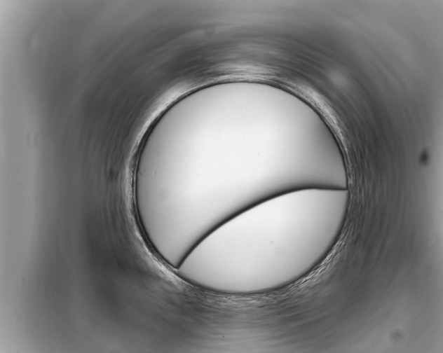 X0000099301243200805020749
