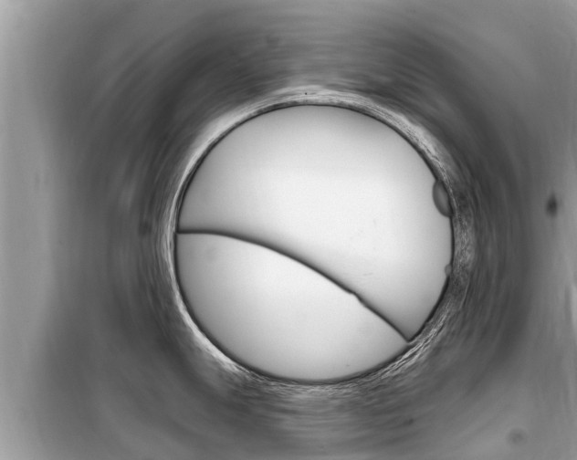 X0000099301247200805020749