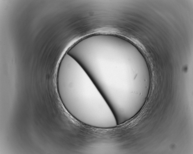 X0000099301248200805020749