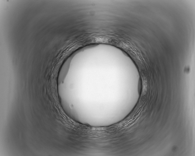 X0000099301249200805020748