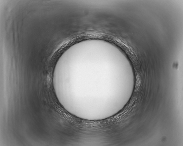 X0000099301254200805020748