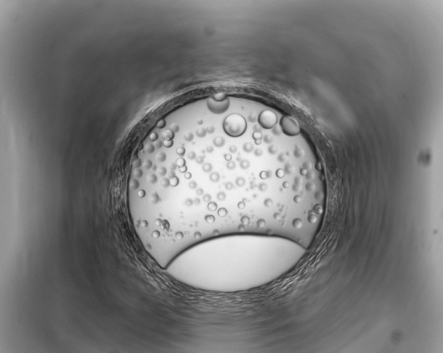 X0000099301255200805020748