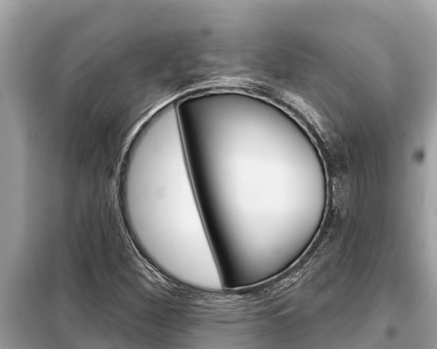 X0000099301260200805020748