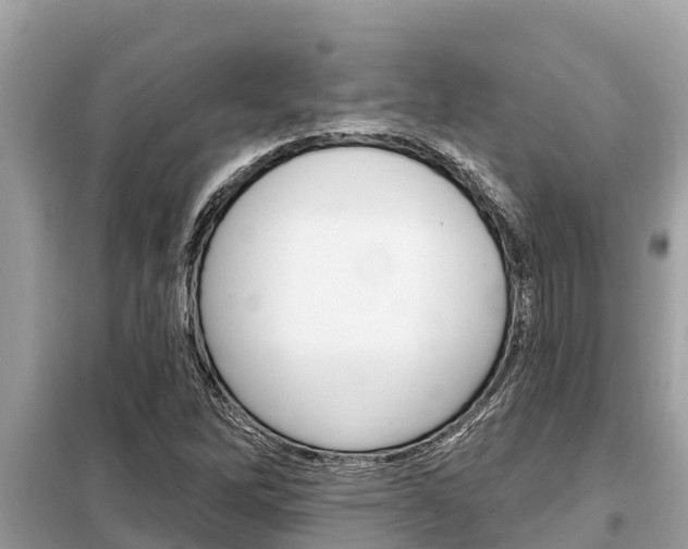 X0000099301262200805020748