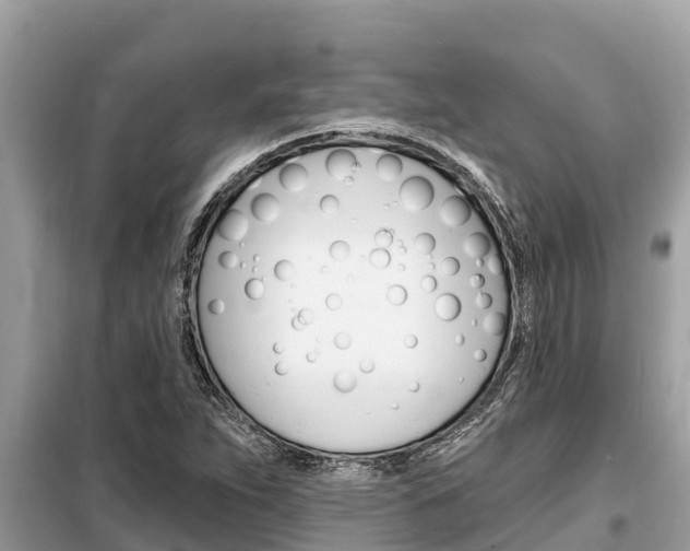 X0000099301263200805020748