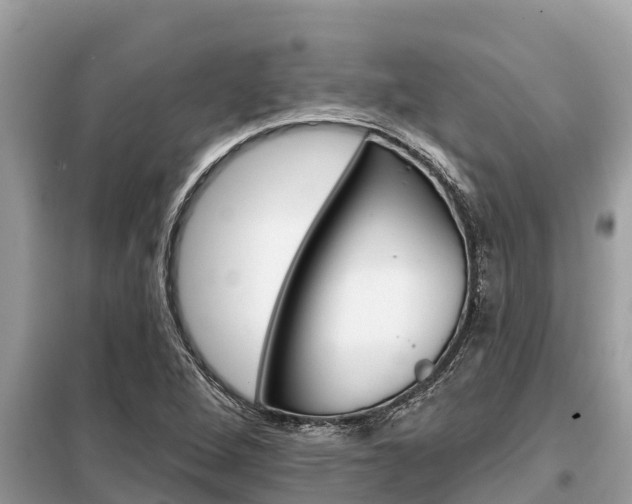 X0000099301264200805020748