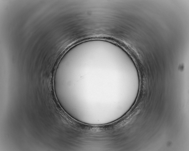 X0000099301265200805020748